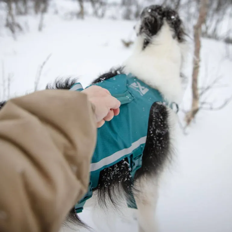 Non-stop dogwear Ramble long koiran valjaat, petrooli
