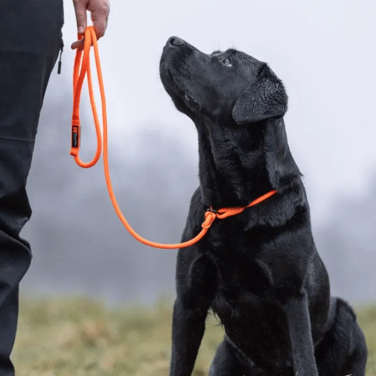 Non-stop dogwear Retriever leash noutajatalutin, oranssi