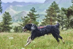 Non-stop dogwear Rock Harness Long Koiran valjaat