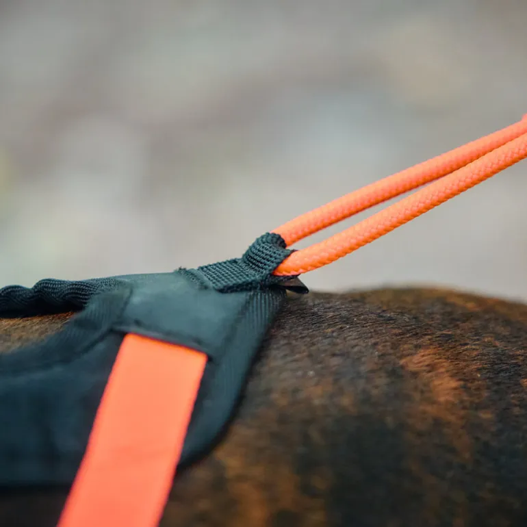 Non-stop dogwear Rush harness lyhyt vetovaljas, musta-oranssi