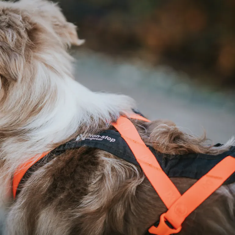 Non-stop dogwear Rush harness lyhyt vetovaljas, musta-oranssi