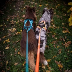 Non-stop dogwear Rush harness lyhyt vetovaljas, teal