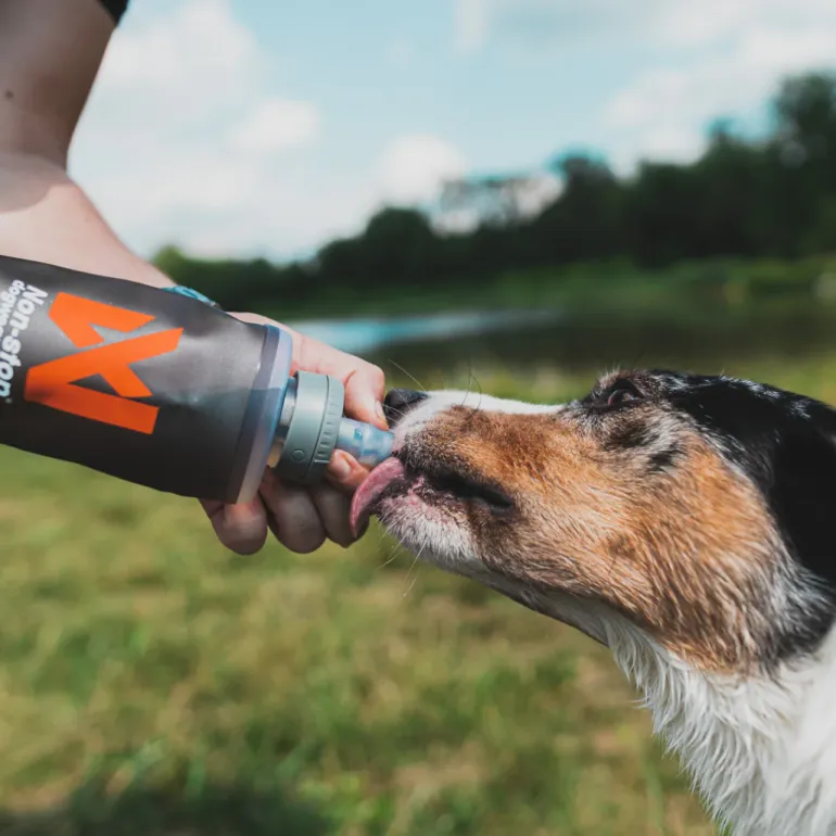 Non-stop dogwear Softflask juomapullo 500 ml