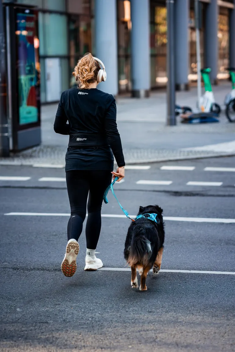 Non-stop dogwear Touring Bungee Leash joustotalutin, teal