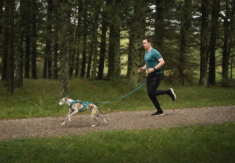 Non-stop dogwear Touring Bungee Leash joustotalutin, teal