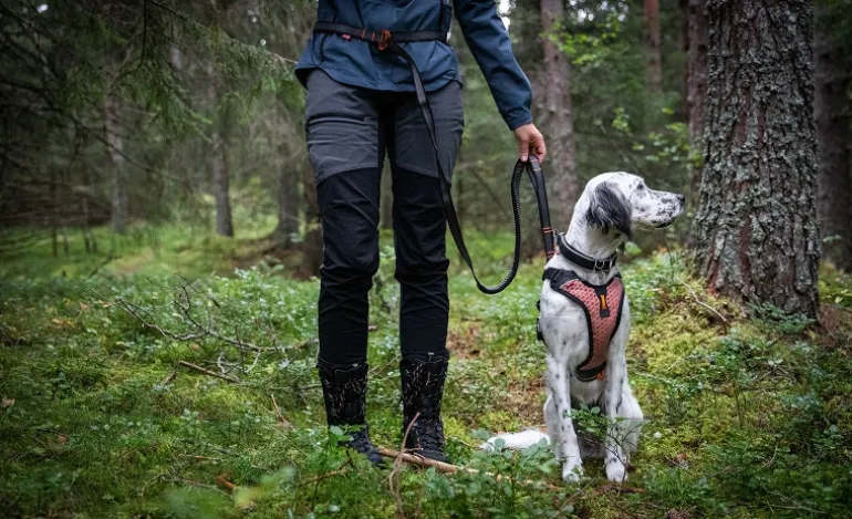 Non-stop dogwear Touring bungee säädettävä talutin