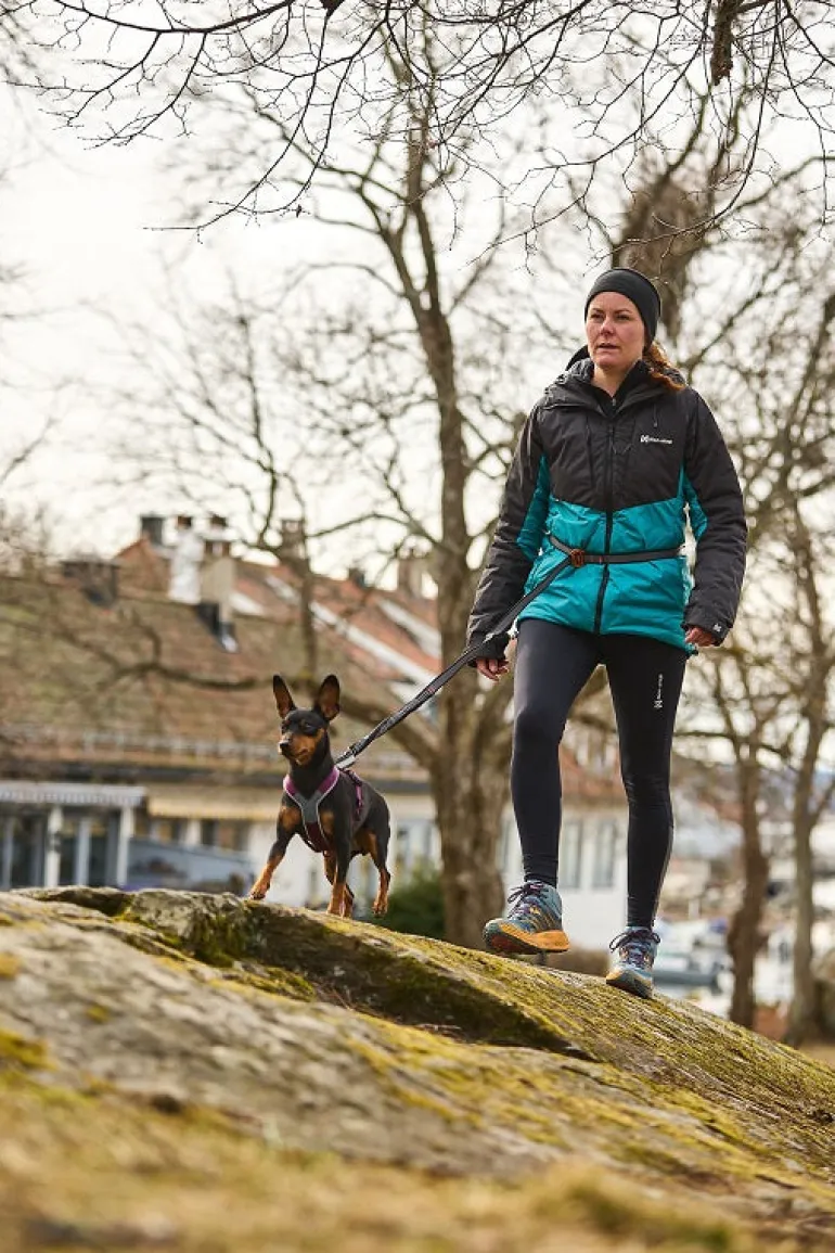 Non-stop dogwear Touring bungee säädettävä talutin