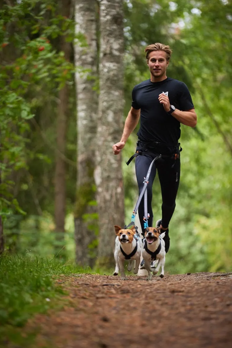 Non-stop dogwear Touring Double hihnanjakaja