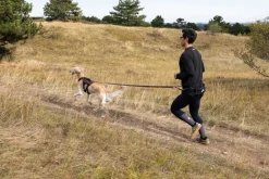 Non-stop dogwear Trail light belt vetovyö