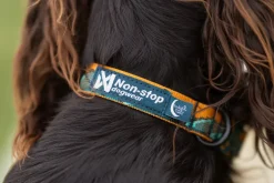 Non-stop dogwear Trail quest collar RP signature edition, teal