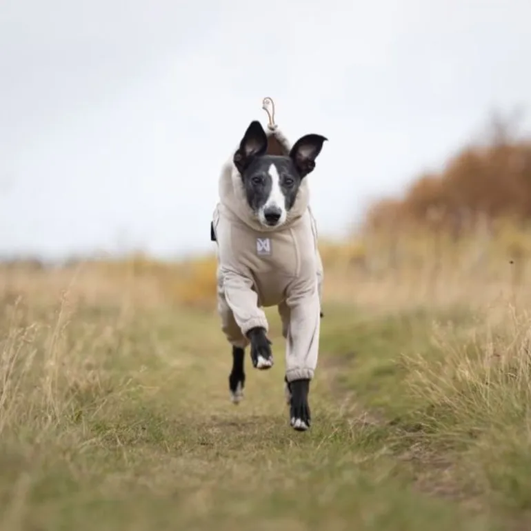 Non-stop dogwear Trail quest fleece overall fleecehaalari, sand