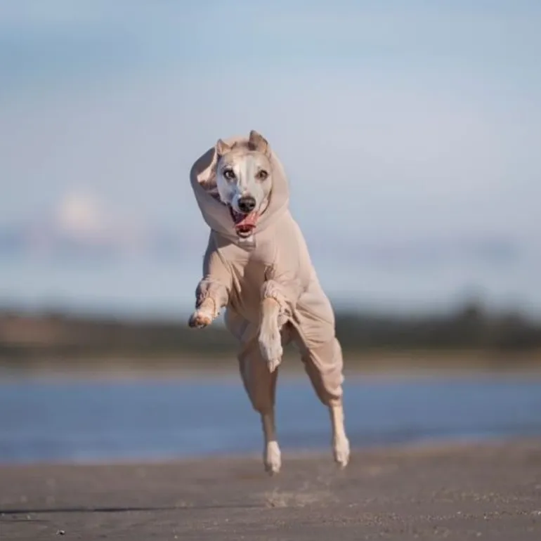 Non-stop dogwear Trail quest fleece overall fleecehaalari, sand