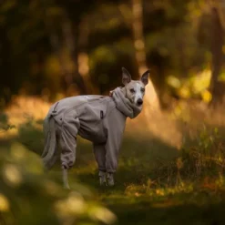 Non-stop dogwear Trail quest fleece overall fleecehaalari, sand