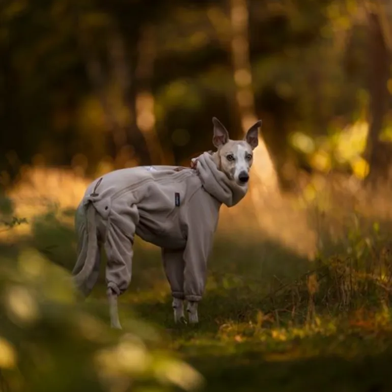 Non-stop dogwear Trail quest fleece overall fleecehaalari, sand