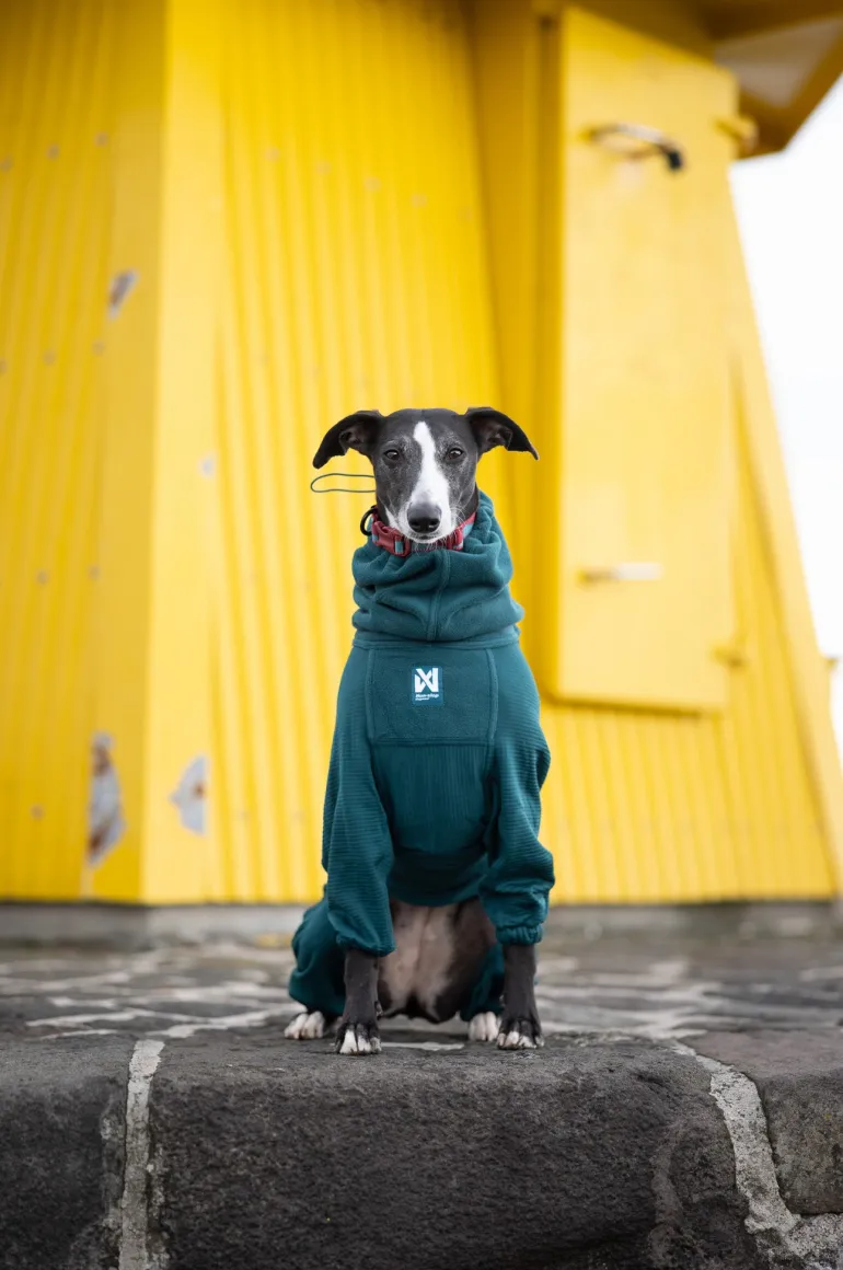 Non-stop dogwear Trail quest fleece overall fleecehaalari, dark teal