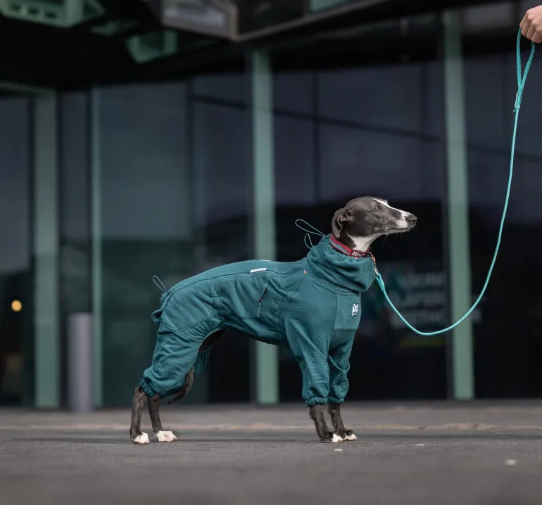 Non-stop dogwear Trail quest fleece overall fleecehaalari, dark teal