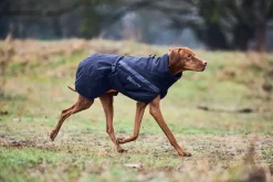 Non-stop dogwear Trekking Insulated koiran talvitakki