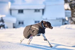 Non-stop dogwear Trekking Insulated koiran talvitakki