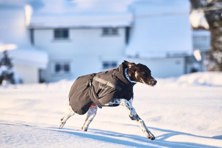 Non-stop dogwear Trekking Insulated koiran talvitakki