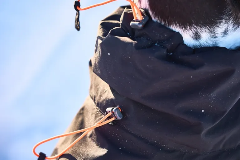 Non-stop dogwear Trekking Insulated koiran talvitakki