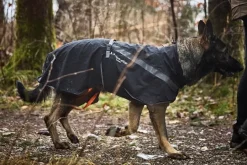 Non-stop dogwear Trekking koiran sadetakki