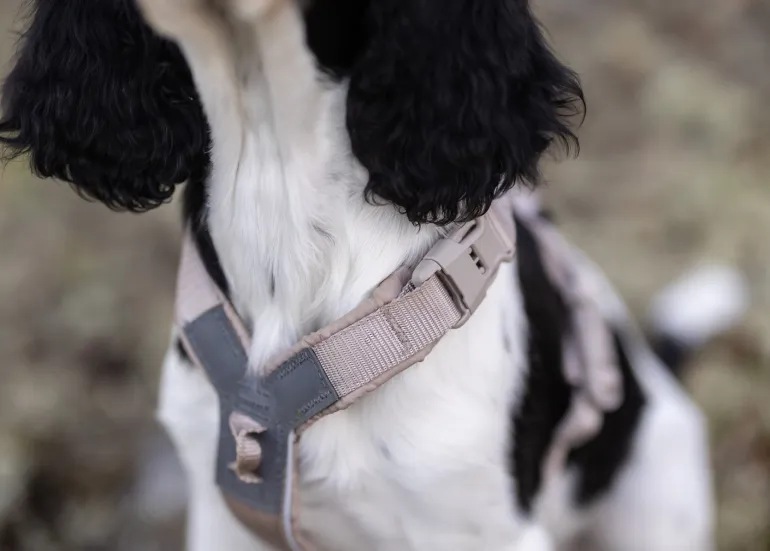 Non-stop dogwear Trekking line harness CLIP'N™ koiran valjaat, beige
