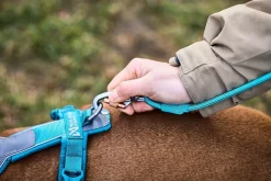 Non-stop dogwear Trekking rope leash köysitalutin, teal