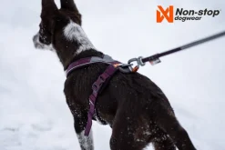 Non-stop Line Harness 5.0 koiran valjaat, vihreä