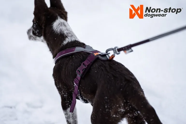 Non-stop Line Harness 5.0 koiran valjaat, vihreä