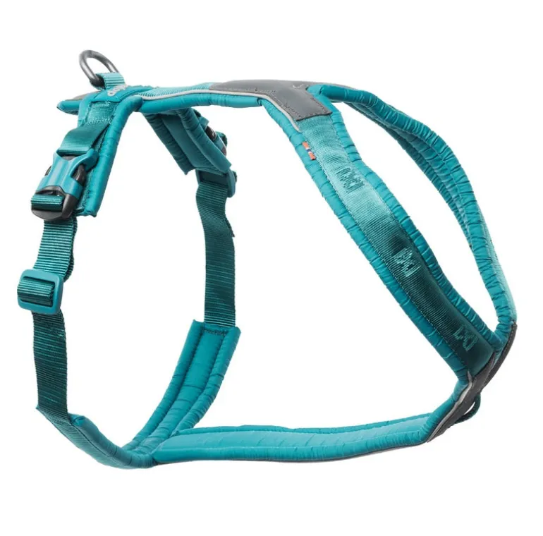 Non-stop Line Harness 5.0 koiran valjaat, teal