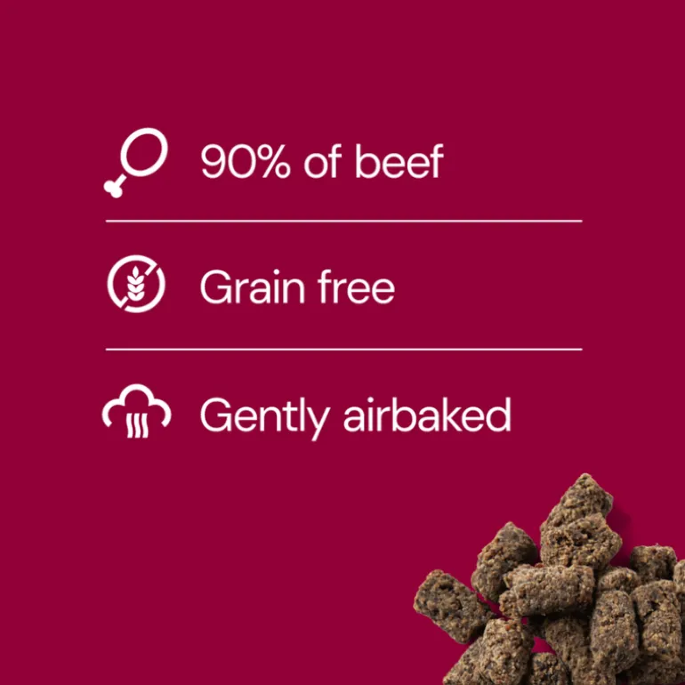 Nutriment Cold-dried Tripe Sticks 100 g (Kylmäkuivatut mahatikut)
