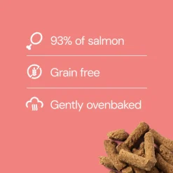 Nutriment Salmon Treat 100 g (Lohiherkku)