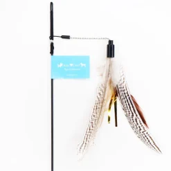Ozami Apache kissanhuiska