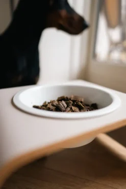 Pala Resepti #6 Kalkkuna, ankka ja silli viljaton koiranruoka