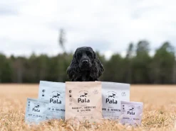 Pala Resepti #3 Nauta ja lohi viljaton koiranruoka
