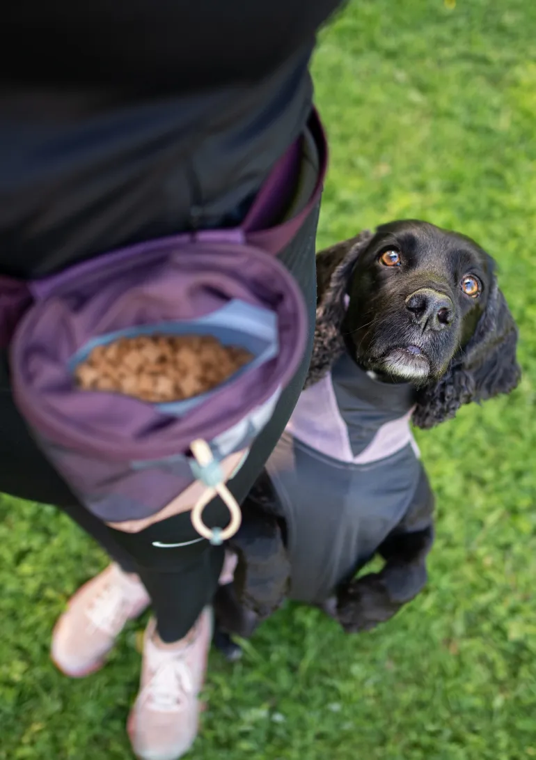 Pomppa Treat Bag