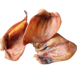 Possunkorva