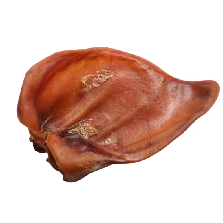 Possunkorva