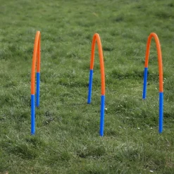 Procyon alarimaton hoopers estesetti 4 kpl