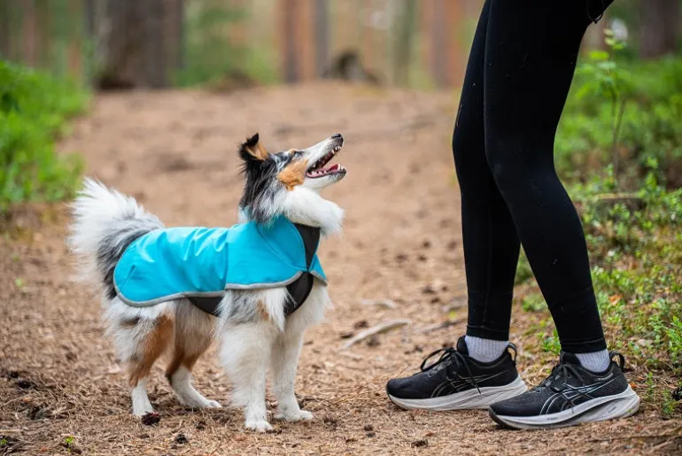 SporttiPomppa Arctic