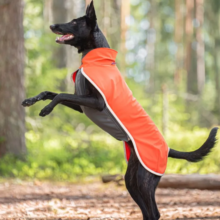 SporttiPomppa Habanero