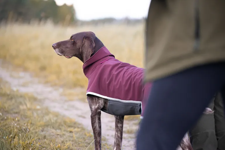 SporttiPomppa Maroon