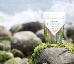 Tribal Dental Sticks L 7 kpl hampaidenhoitoherkut