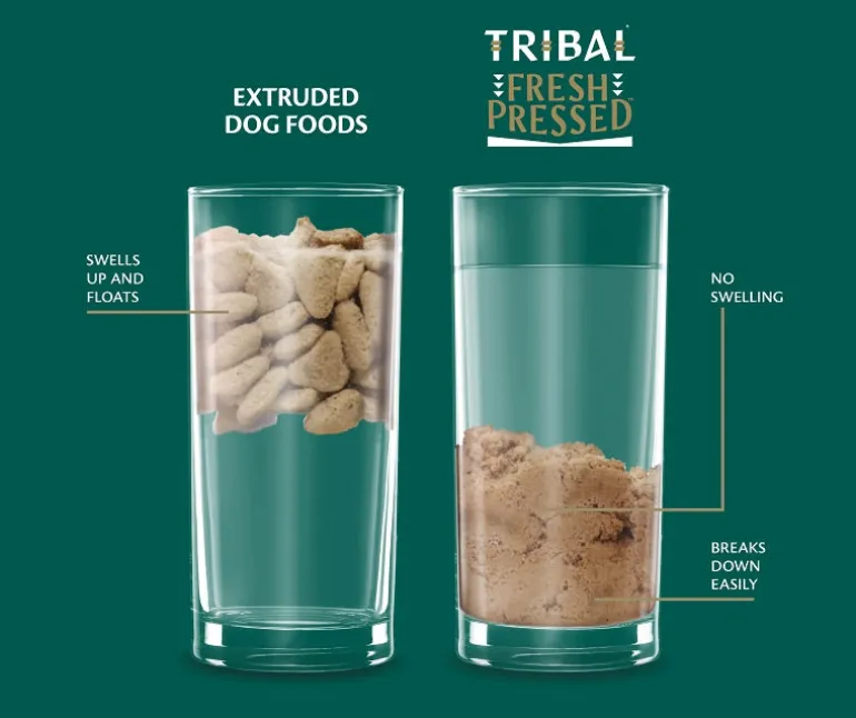 Tribal Fresh Pressed Puppy Turkey kylmäpuristettu penturuoka