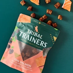 Tribal Trainers Salmon & Blackberry koiran makupala 80 g