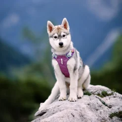 Woolly Wolf Alpha 360 koiran valjaat, Mauve Mix
