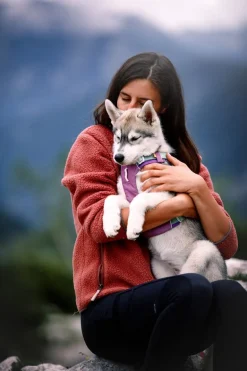 Woolly Wolf Alpha 360 koiran valjaat, Mauve Mix