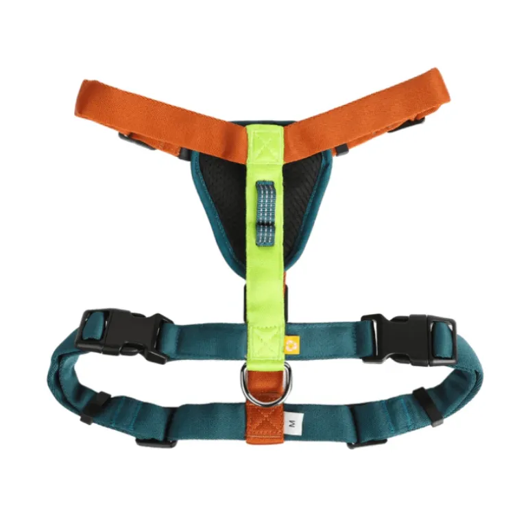 Woolly Wolf Color Block koiran valjaat, Lime