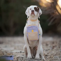 Woolly Wolf Hydration olkalaukku, laventeli