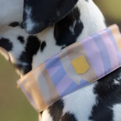 Woolly Wolf Sunshower Soft Martingale kaulapanta